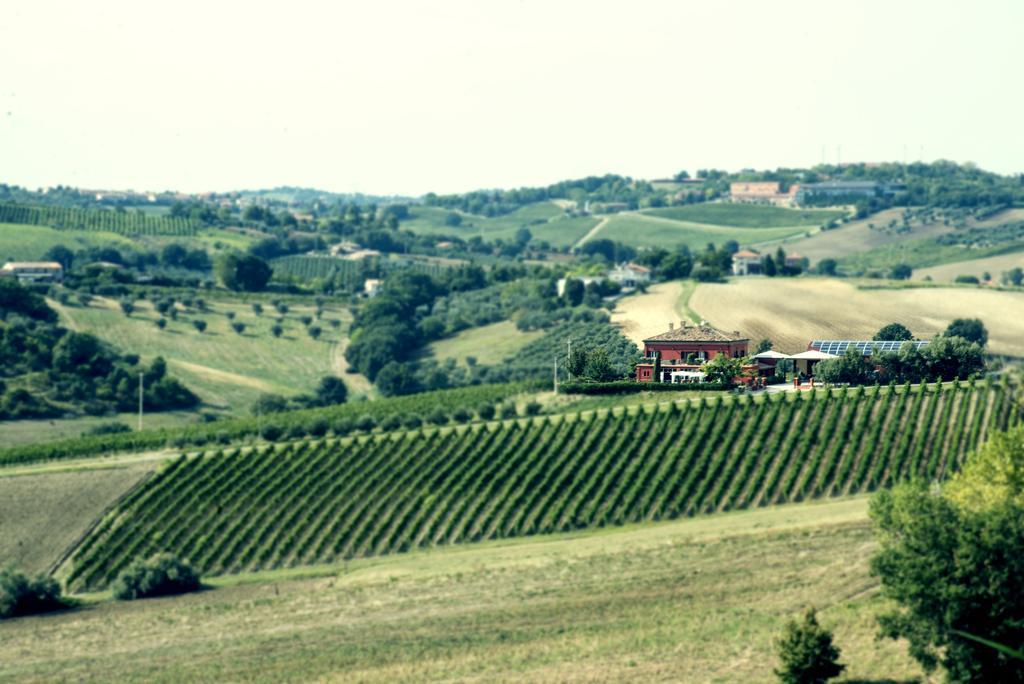 Tenuta Santini Villa Coriano Luaran gambar
